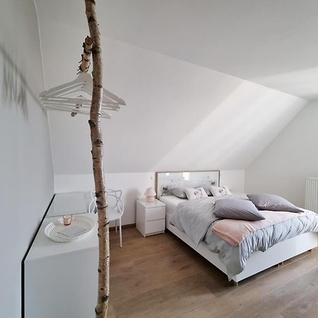 Bed and Breakfast Les Arbres Sous Le Vent A 10 Min De Pairi Daiza Jurbise Exterior foto